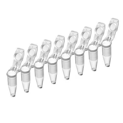 Eppendorf PCR Tubes and Strips