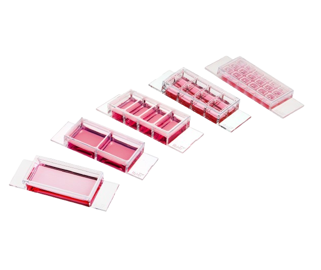 Chambered Coverslips