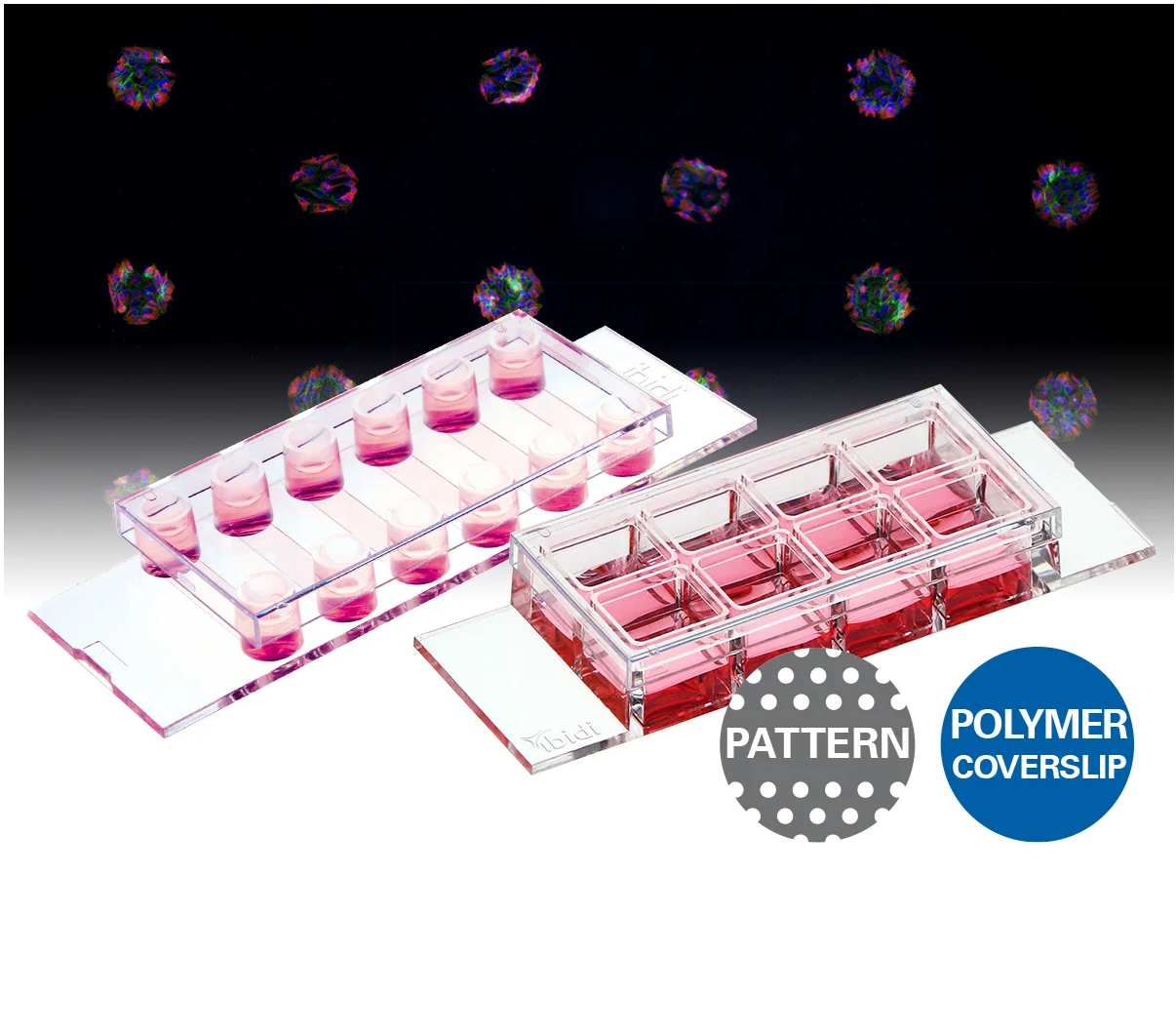 Micropatterned Labware